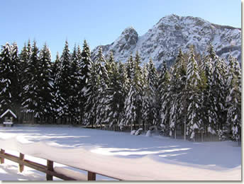 Foresta demaniale del Monte Penna