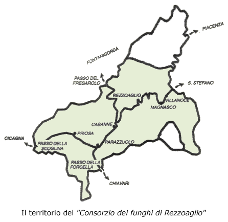 Il territorio del Consorzio dei funghi di Rezzoaglio