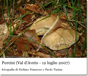 Porcini (foto di Paolo Turina e Stefano Franzoso)