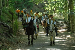 Raduno equestre Parco dell'Aveto - Luglio 2008