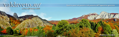 Maggiorasca con il vestito autunnale (2010)