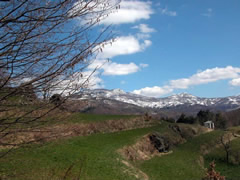 Il territorio di Villa Noce ad inizio primavera  (fotografia di Giorgio Venturini)