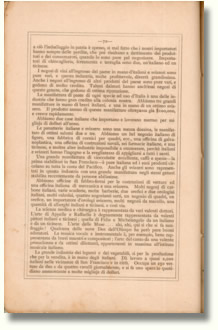  Quarto Almanacco Italo - Svizzero Americano 