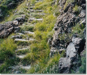 Cala' dei morti: gli scalini nella roccia (fotografia di Lorenzo Laneri)